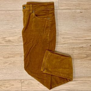 Patagonia Slim Fit Corduroy Pants- Bence Brown